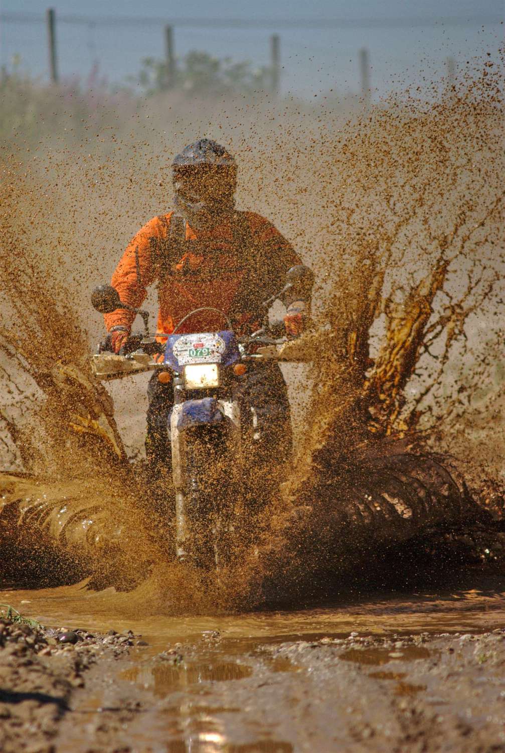 Jens J. 2019 Sa (549)